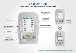 СКЭНАР-1-НТ (исполнение 01)  в Находке купить Нейродэнс ПКМ официальный сайт - denasdevice.ru 